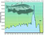 ADCAP: Adaptive Capacity of Fisheries Institutions