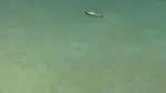 OceanSOS: A Safe Operating Space for the Deep and Open Ocean